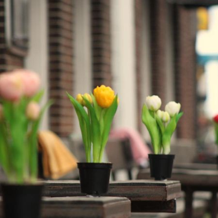Herberg De Wildeman Lemmer Bagian luar foto